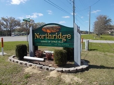 813 E Bismark St, Hernando, FL 34442 - photo 6