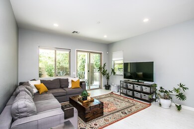 Hummingbird Way-6