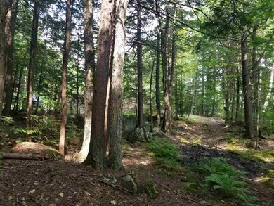34a Forest Pond Rd, New Hampton, NH 03256 - photo 6