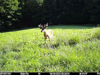 2340 Sands Creek Rd, Hancock, NY 13783 - photo 5