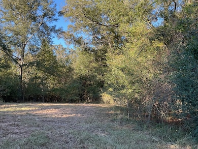 3114 Chapel Hill Rd, Rutledge, AL 36071 - photo 7