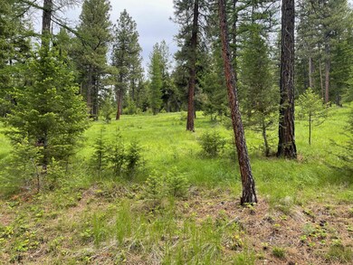 235 Highland Meadow Rd, Kila, MT 59920 - photo 3