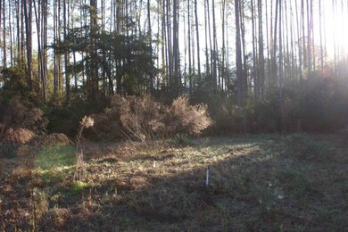 0 Forest Ln, Crawfordville, FL 32327 - photo 7