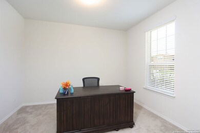 10342 McQueeney, San Antonio, TX 78252 - photo 5