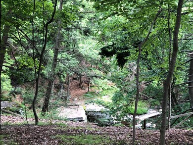 120 Meadow View Ct, Bushkill, PA 18324 - photo 2