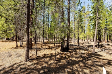 17-web-or-mls-4-28-25 51861 Knob Cone La