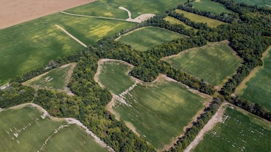 20250618122129133330000000-o