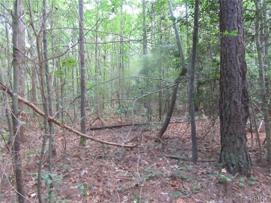 73-7-7 Fox Branch Rd, Dinwiddie, VA 23830 - photo 4