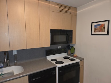 Commonwealth Plaza Condominium unit 518, Chicago, IL 60657 - photo 3