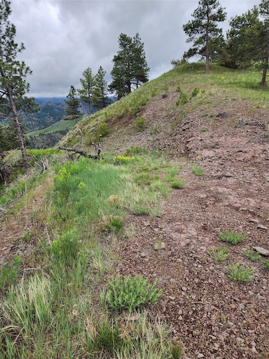 NHN Lightning Ridge Ln, Cascade, MT 59421 - photo 4