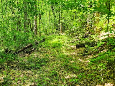 0 Buffalo Rd unit 23634322, Oneida, TN 37841 - photo 5