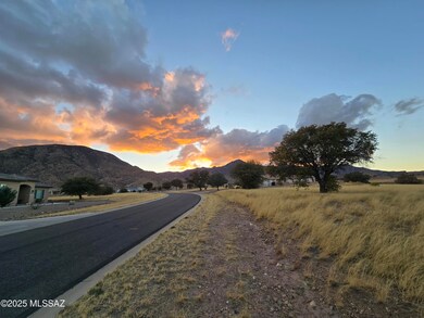 TBD Saddlehorn Cir unit 10, Hereford, AZ 85615 - photo 5
