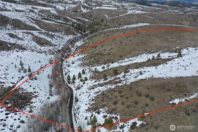 0 Oklahoma Gulch Rd unit NWM2344575, Chelan, WA 98816 - photo 5