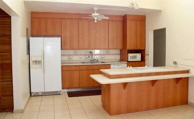 2 Calle de Diego Bo Pueblo, Cabo Rojo, PR 00623 - photo 6