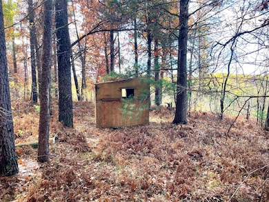 10 Acres W Fletcher Rd, Roscommon, MI 48653 - photo 4