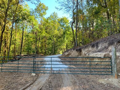 0 Bethel Rd, Prospect, TN 38477 - photo 2