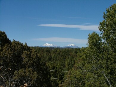 0 Old Mission Ridge unit G2 21-24, Trinidad, CO 81082 - photo 4