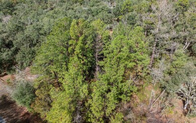 TBD 122nd Trail, Live Oak, FL 32060 - photo 5