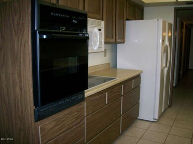 18221 N 99th Dr, Sun City, AZ 85373 - photo 7