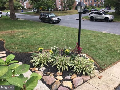 207 Terminal Ave, Glenside, PA 19038 - photo 3