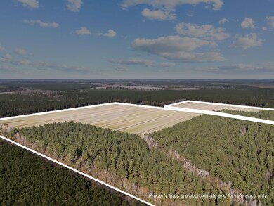 Tuten Rd, Blounts Creek, NC 27814 - photo 6