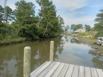 8081 Bull Frog Ln, Chincoteague, VA 23336 - photo 4