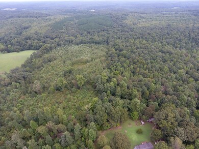 0 Pond Ln, Tennessee Ridge, TN 37178 - photo 3