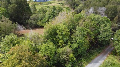 0 Haleakala Hwy unit 398383, Kula, HI 96790 - photo 4