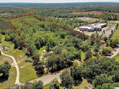 1912 Lay Dam Rd, Clanton, AL 35045 - photo 3