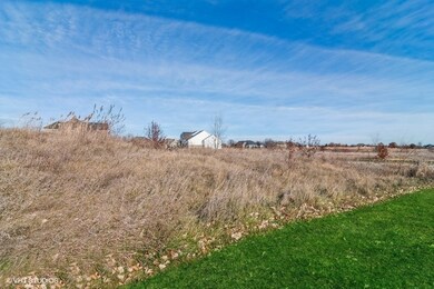 4799 Waa Kee Sha Dr, Oswego, IL 60543 - photo 6