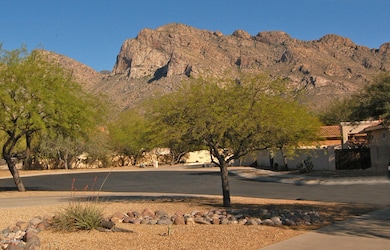 163 E Silverstone Place, Tucson, AZ 85737 - photo 3