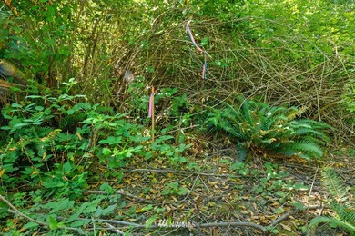 0 XXX 200th Dr NW, Stanwood, WA 98292 - photo 6