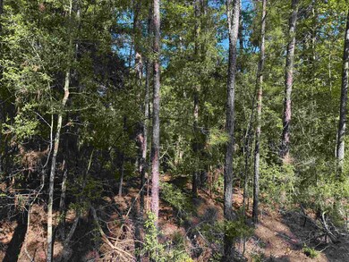 171 Sassafras unit Lot 171, Brookeland, TX 75931 - photo 5