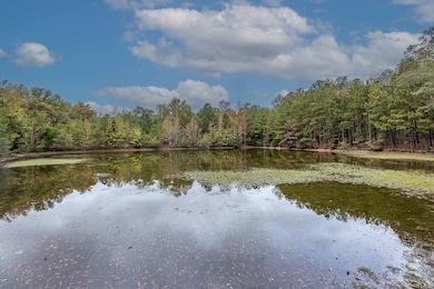 7901 Shallowford Rd, Upatoi, GA 31829 - photo 2