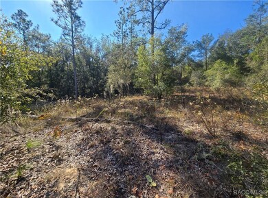 11136 N Vesta Point, Dunnellon, FL 34434 - photo 6