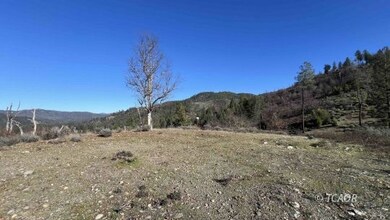 480 Oak Ranch Dr, Lewiston, CA 96052 - photo 5