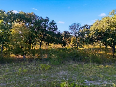 TBD Farm To Market Road 147, Marlin, TX 76661 - photo 4