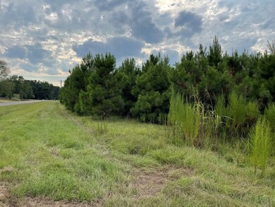 XXX Rushingtown Rd, Tylertown, MS 39667 - photo 5