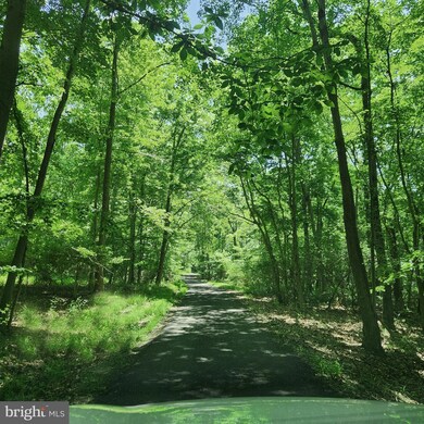 1826 Old Elk Neck Rd, Elkton, MD 21921 - photo 4