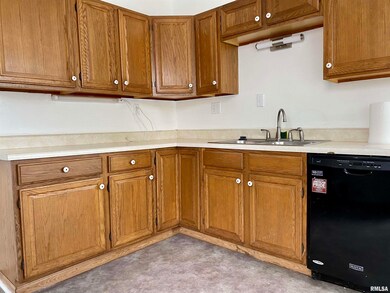 300 Pekin St, Lincoln, IL 62656 - photo 4