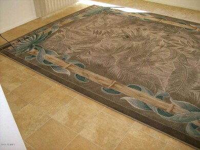 arizona room area rug