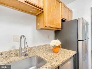 3800 Lyndhurst Dr unit 301, Fairfax, VA 22031 - photo 6