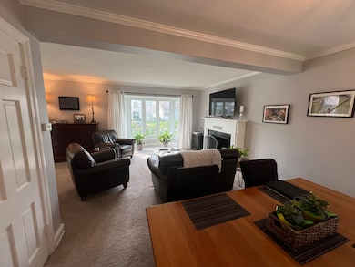 495 S Washington St, Elmhurst, IL 60126 - photo 5