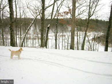 19 Mountain Heritage Estates Rd, Slanesville, WV 25444 - photo 4