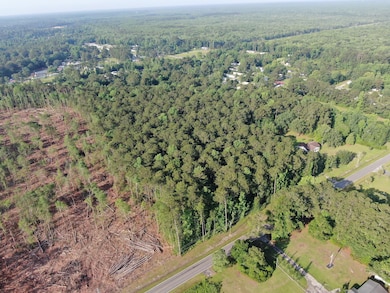 0 Roscoe Rd, Socastee, SC 29588 - photo 5