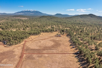 14638 E Keith Dr, Parks, AZ 86018 - photo 5