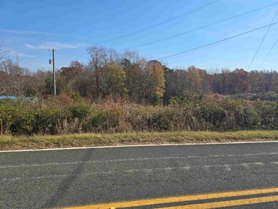 Tract 4 Green River Rd, Gaffney, SC 29341 - photo 4