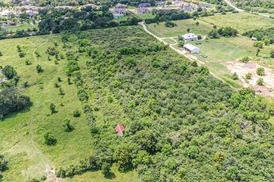The lot is densely populated with trees and will a