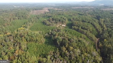 0 Possum Hollow Rd SE, Fairmount, GA 30139 - photo 7