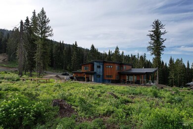Rear view of house with a wooded view and a metal roof